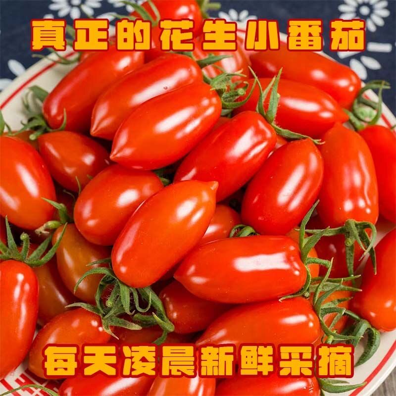 顺丰当季409柿子正宗碱地花生番茄牛奶新鲜草莓水果圣女孕妇包邮