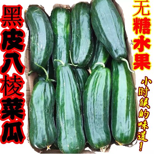 老式八棱菜瓜酥瓜生吃水果八棱脆瓜烧瓜黑皮菜瓜稍瓜老人水果现摘