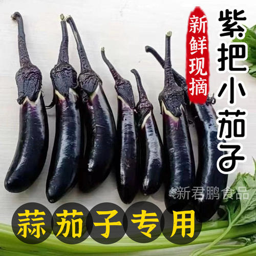 东北迷你小茄子水果生吃紫把紫色紫红蔬菜新鲜腌蒜茄农家自种当季