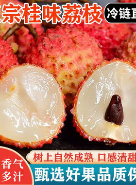 顺丰冷链冰冻广西灵山桂味荔枝新鲜水果当季整箱现摘老树纯甜孕妇