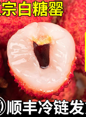 【顺丰现货】广东白糖罂荔枝妃子黑笑叶贵妃荔枝水果当季整箱