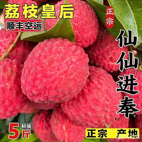 顺丰2026冷冻仙进奉荔枝新鲜高州老树糯米当糍应季时令水果送礼盒
