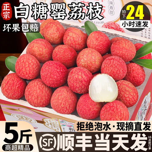 顺丰2026冷冻白糖罂荔枝新鲜现摘现发水果笑妃子茂名5斤当季整箱