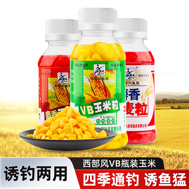 西部风玉米粒鱼饵VB麦粒牛B颗粒麦王玉米王野钓鲫鱼鲤鱼饵料挂饵