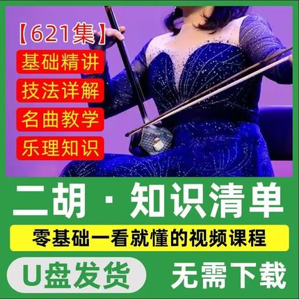二胡教程全套U盘中老年自学零基础课程配套二胡新手入门教材优盘