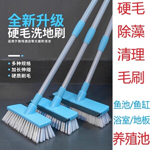 鱼池硬毛清洁除藻工具