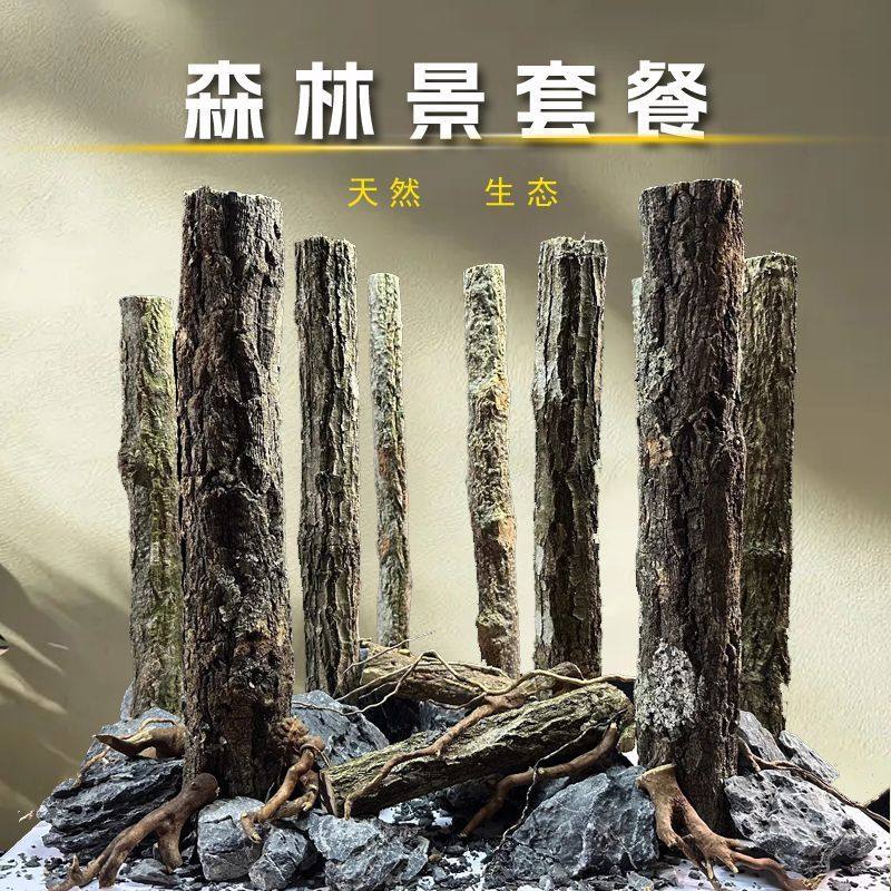 密林森林之歌鱼缸水草缸造景香槟木杉木景乌龟缸杜鹃根雨林缸水陆