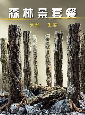 密林森林之歌鱼缸水草缸造景香槟木杉木景乌龟缸杜鹃根雨林缸水陆