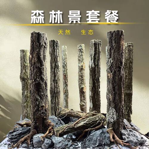 森林之歌密林香槟木鱼缸造景