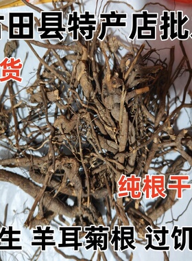 野生羊耳菊根 白面风 土丁桂 过饥草 山白芷 毛将军 纯根干货包邮