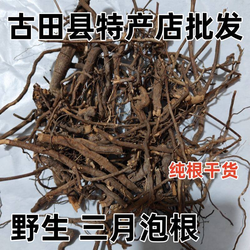 三月泡根福建野生 刺波根 茅梅根 蛇泡筋 红梅消根 纯根干货250克