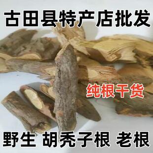 野生胡颓子根 胡秃子根 羊奶子根 牛奶根 羊奶果根 纯根干品包邮