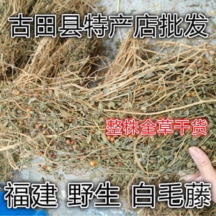 野生白毛藤 蜀羊泉 白英 排风藤 胡毛藤 整株全草干货 包邮