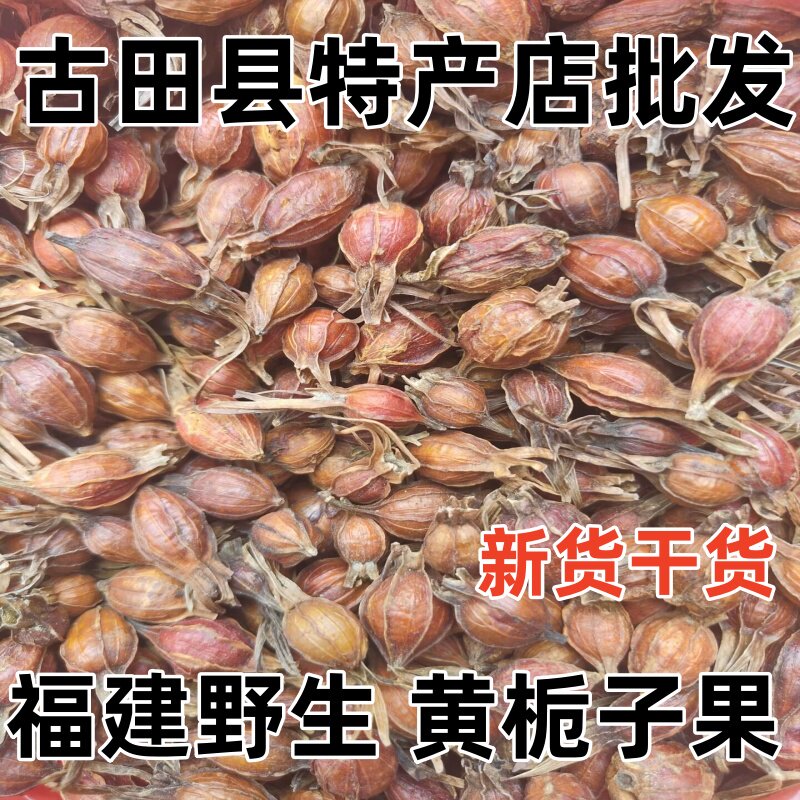 野生黄栀子果山栀子黄栀籽小红栀子果黄枝子栀子茶中药材无硫晒干
