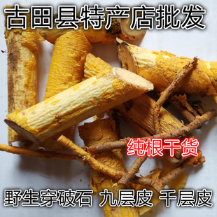 野生穿破石根 柘根 川破石 牵牛入石 黄龙脱皮 九千层皮 纯根干货