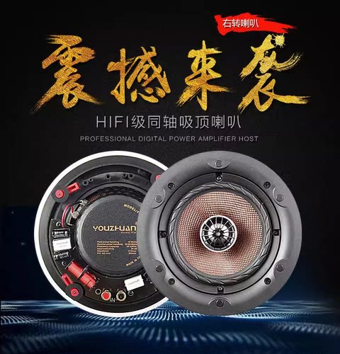 右转YZ-465背景音乐定阻同轴吸顶喇叭音箱 音响嵌入式天花吊顶