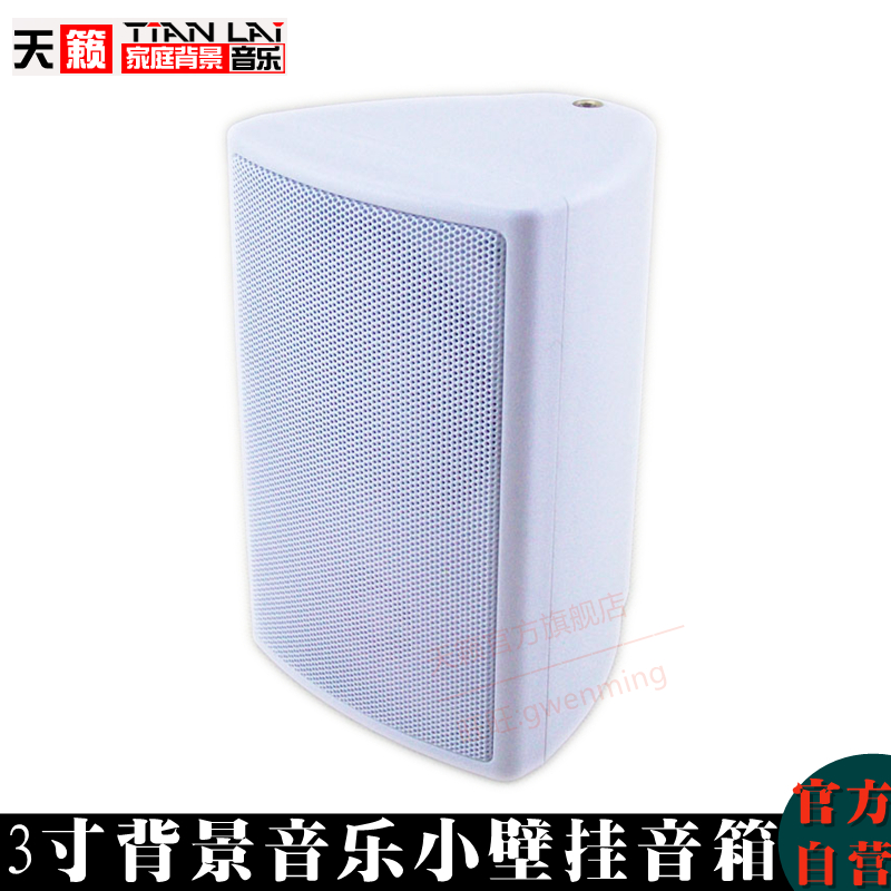 天籁 TL-G31 小壁挂 环绕可用 3寸家用背景音乐喇叭挂式无源音箱
