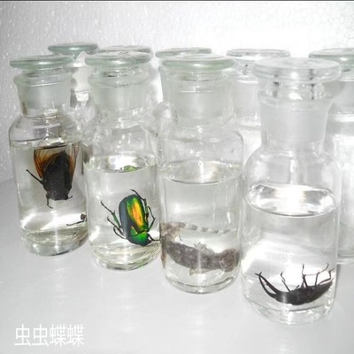 玻璃瓶密封瓶光口瓶  配防腐剂溶液(加厚)制作摆设展览标本浸泡