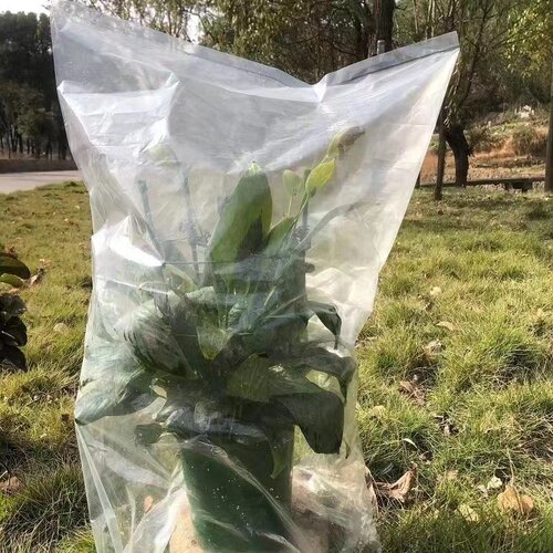 绿植物果树防冻保温袋塑料膜花卉盆栽过冬季木防寒布防尘透明袋