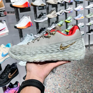 Nike耐克荆棘男女2026秋新款S.T. Charge EP运动篮球鞋IO8062-001