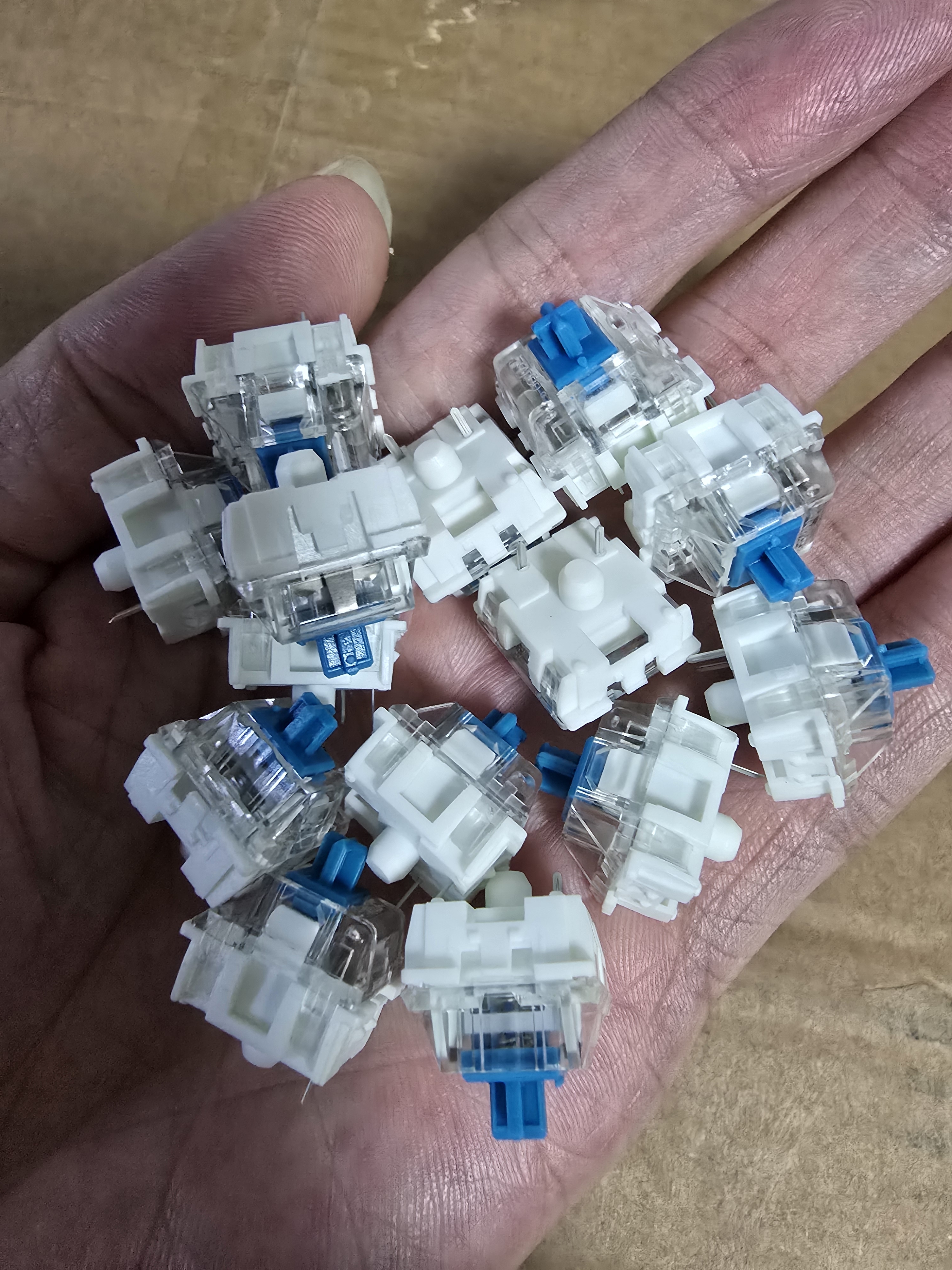 青轴 段落轴体 青轴100颗防氧化针脚 一份100颗 全新轴体