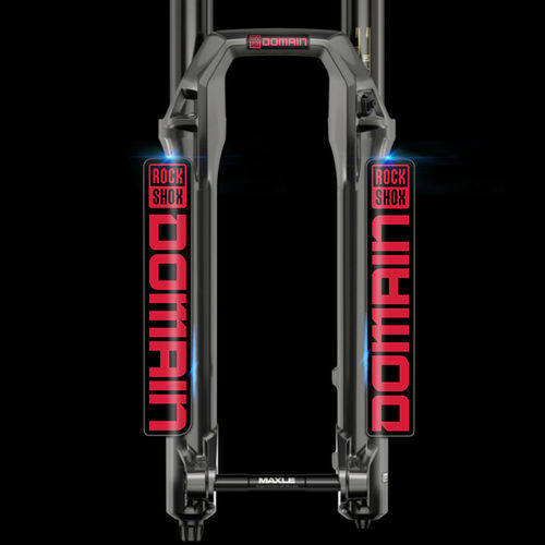 2021rockshoxDOMAIN登