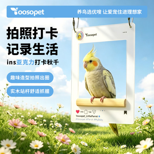 优嗖亚克力鹦鹉立杆拍照站架