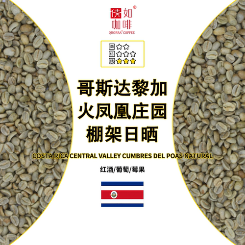哥斯达黎加咖啡火凤凰棚架日晒