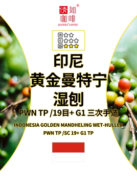 咖啡生豆 印度尼西亚 黄金曼特宁 湿刨 PWN TP/19目 G1 三次手选