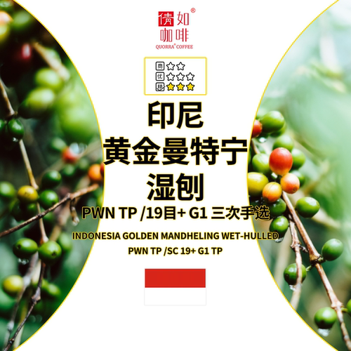 印尼咖啡生豆黄金曼特宁湿刨药草