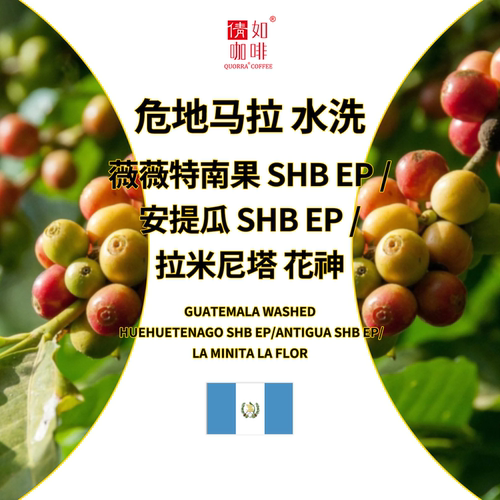 危地马拉咖啡生豆水洗