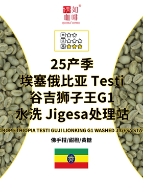 25产季精品咖啡生豆 埃塞Testi 谷吉 狮子王G1 水洗 Jigesa处理站