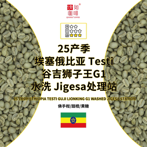 咖啡生豆埃塞俄比亚狮子王水洗