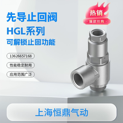 进口全新先导止回阀 530031 HGL-M5-1/8-1/4-3/8-1/2-B 530033