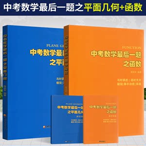 中考数学最后一题平面几何+函数