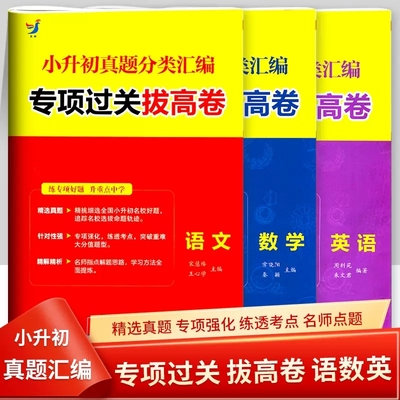 小升初真题分类汇编专项过关拔卷
