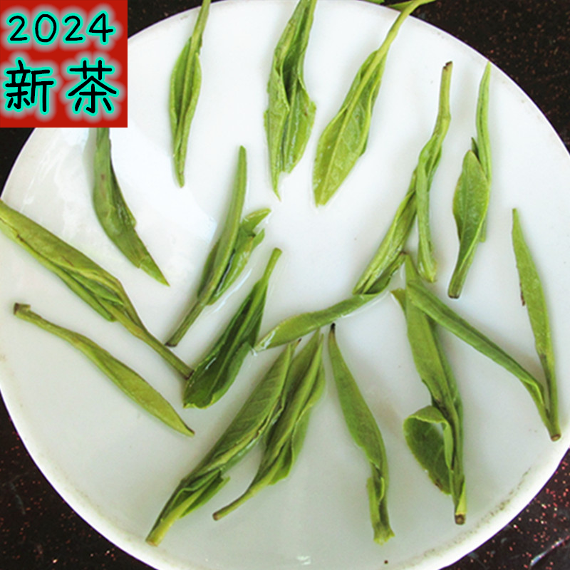 黄山毛峰正宗春茶嫩芽毛尖绿茶