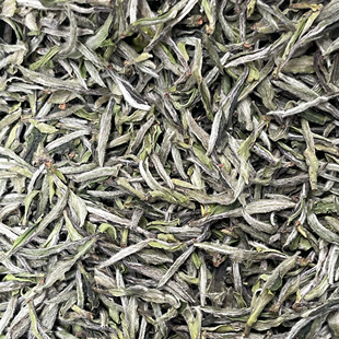 2025年福鼎高山老树大白牡丹王华茶一号碳焙白牡丹花香水甜250克