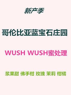 少量库存哥伦比亚咖啡生豆蓝宝石庄园wush蜜处理500克包邮在类目 咖啡/麦片/冲饮, 速溶咖啡/咖啡豆/粉, 咖啡豆/粉, 咖啡豆中 - 来自Buy2taobao.com提供专业的淘宝代购服务