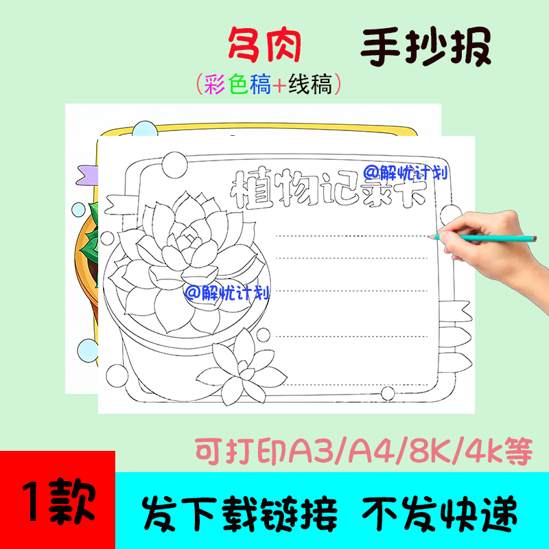 植物记录卡多肉植物手抄报电子稿模板可打印A3/A4/8K黑白线稿