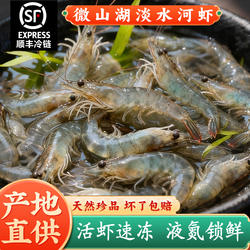 微山湖淡水小河虾鲜活冷冻批发新鲜青虾湖虾水产急冻小草虾醉虾