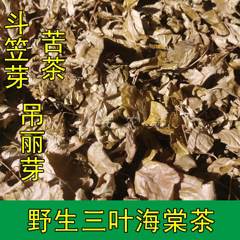 湖南特产城步虫茶虫屎茶原茶叶野茶三叶海棠吊丽芽斗笠芽苦茶叶
