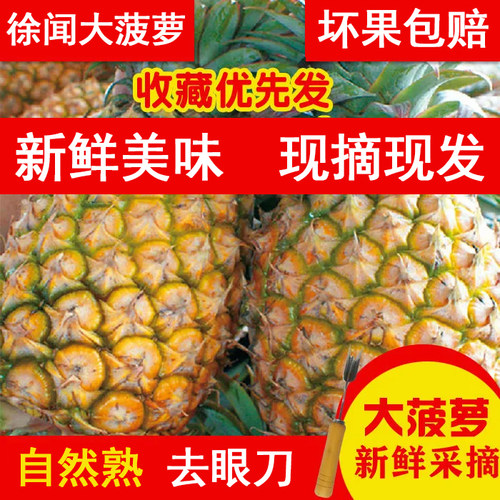 新鲜大菠萝香水菠萝大果手撕除味