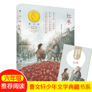 红枣曹文轩 12岁儿童文学名著作品短篇小说 少年文学典藏书系书籍fb小学生五年级六年级课外书曹文轩红枣9