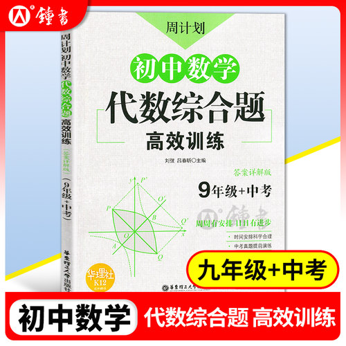 周计划 初中数学代数综合题高效训练 9年级/九年级+中考 初中数学强化训练中考数学新思维初三反比例二次函数华东理工大学出版社