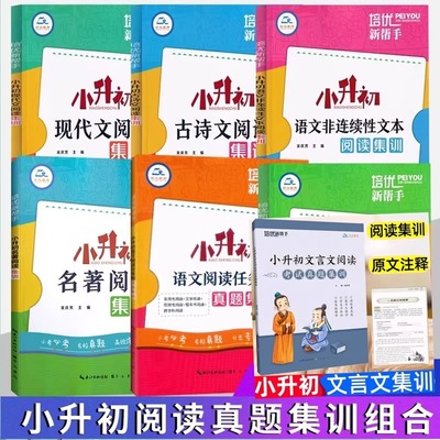 培优新帮手小升初语文全套9册文言文阅读考试阅读组合现代文古诗文名著非连续性文本阅读任务群真题集训小学六6年级总复习衔接教程
