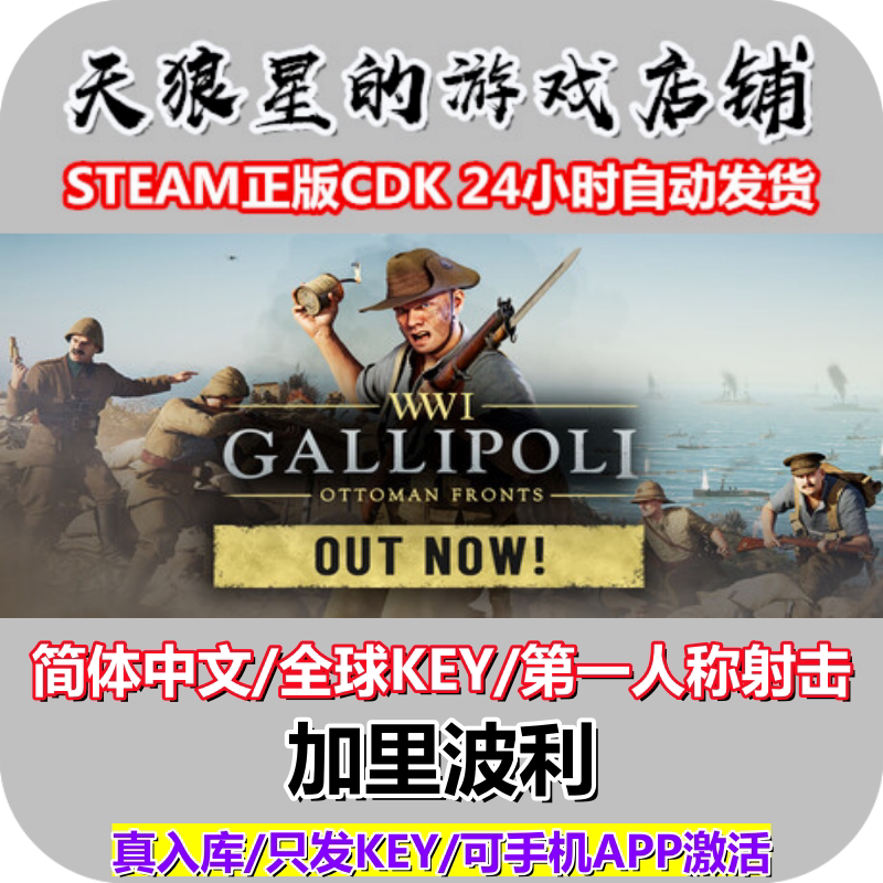 STEAM/加里波利/全球key/中文