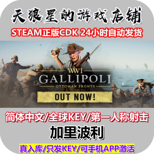 STEAM/加里波利/全球key/中文
