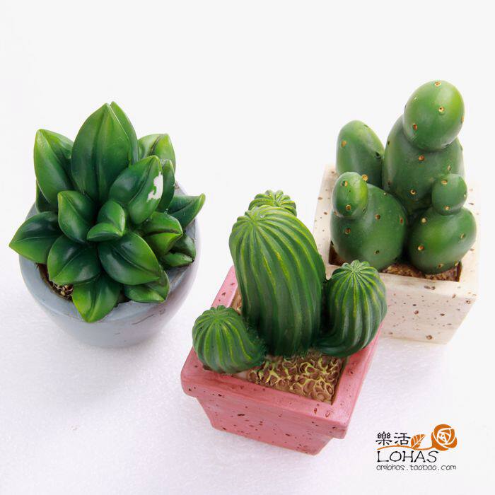 热卖多肉植物立体肉肉硅胶模具巧克力慕斯蛋糕盐雕烘培蜡烛石膏模