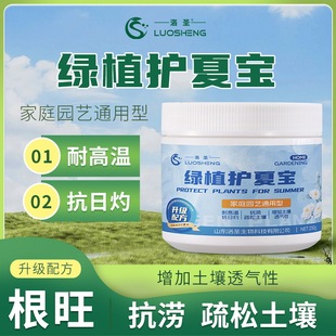 绿植护夏宝生根壮苗耐高温抗涝抗旱抗日灼改良土壤透气通用水溶肥